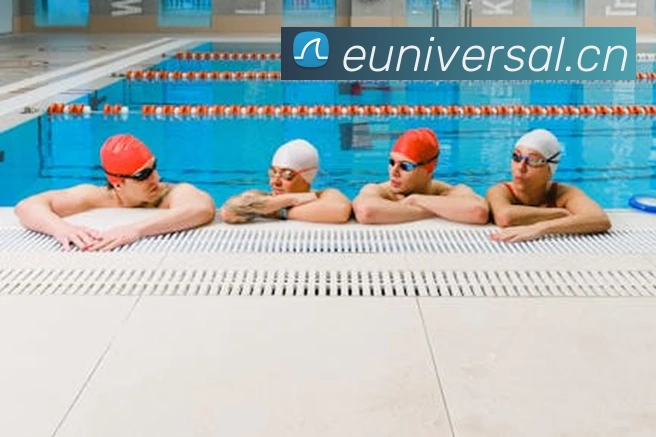 App Interface Preview