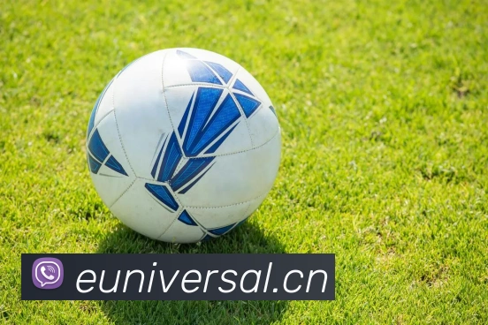 九游网站入口APP 封面图